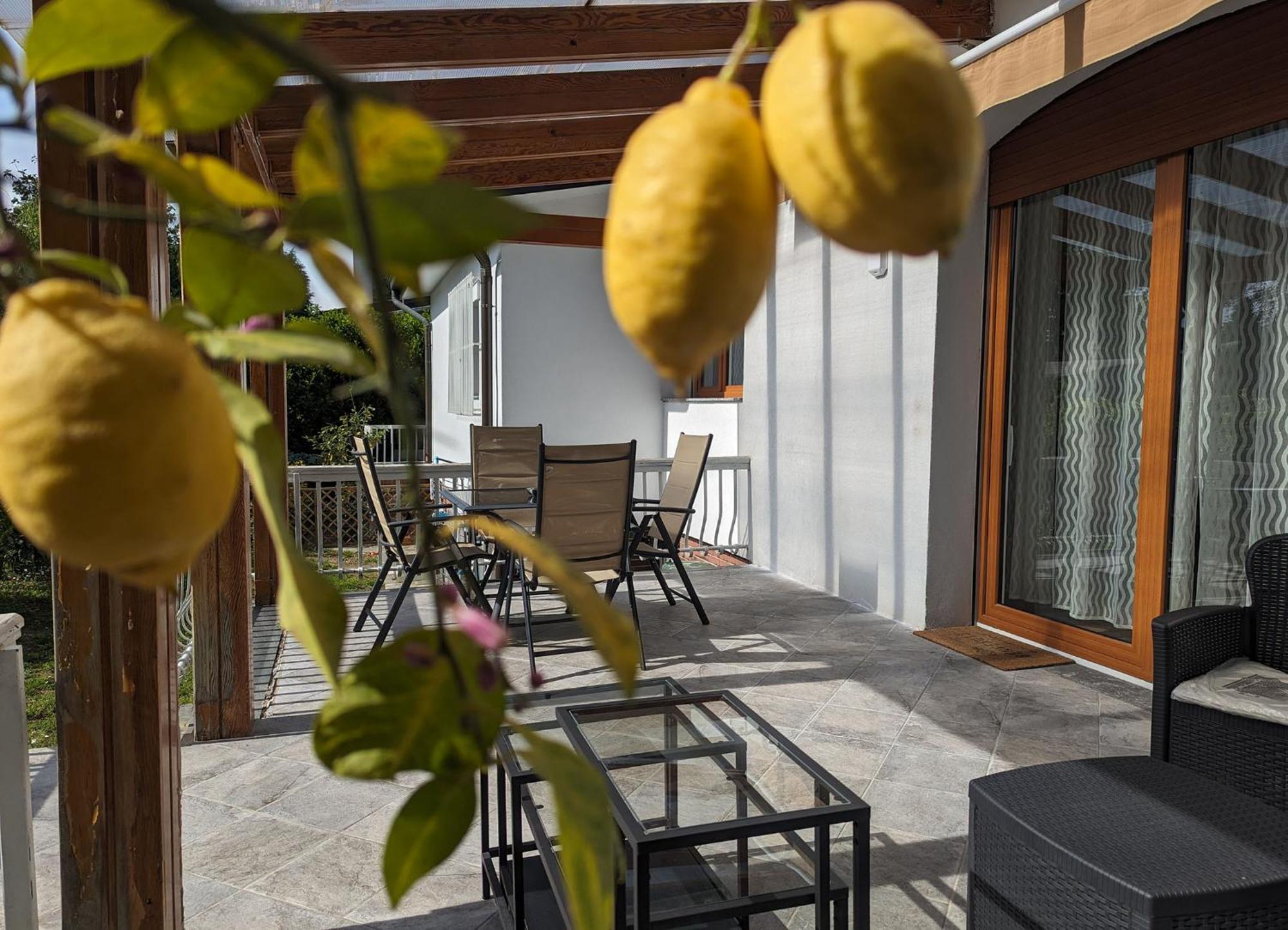 Villa Degli Ulivi Cassina de' Pecchi Esterno foto